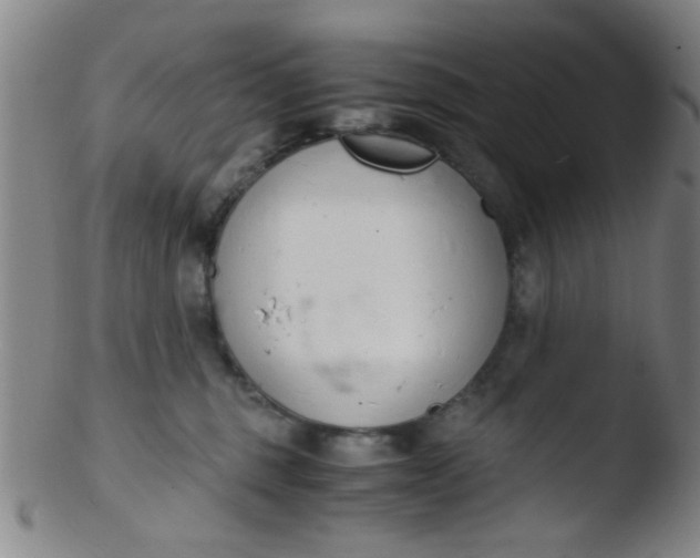 X0000103500375200809262019