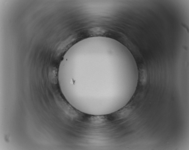 X0000103500378200809262019