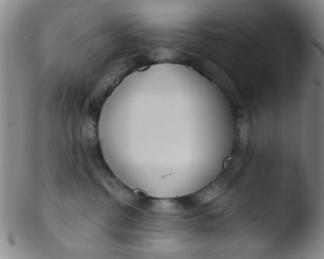 X0000103500380200809262019