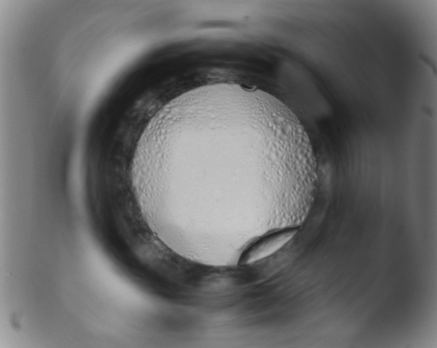 X0000103500381200809262019