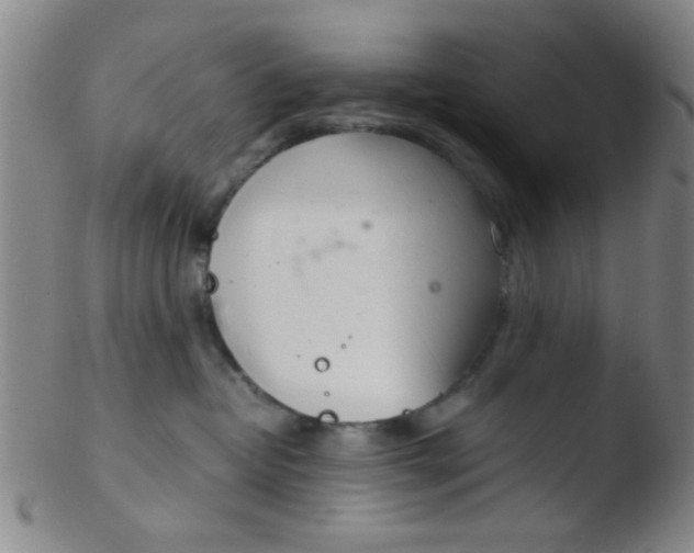 X0000103500382200809262019