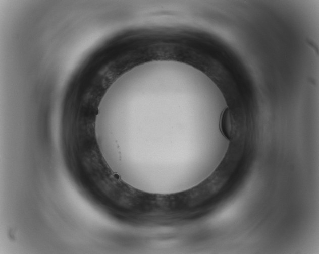 X0000103500383200809262019