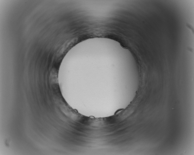 X0000103500384200809262019