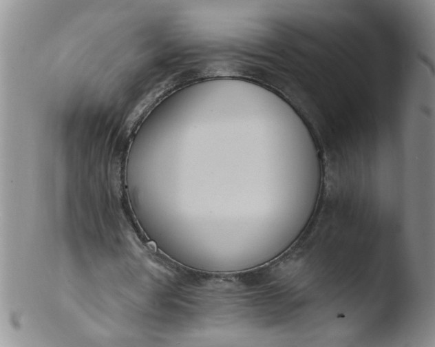 X0000103500386200809262018