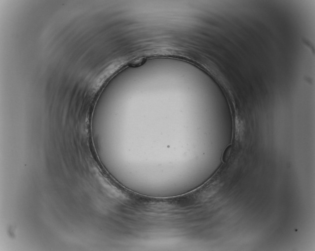 X0000103500389200809262018