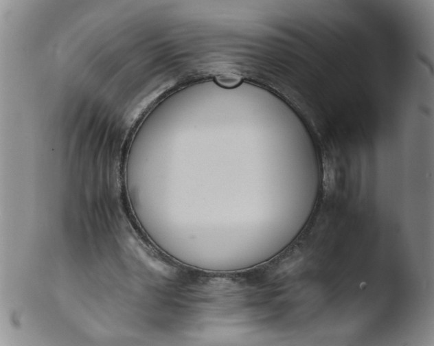 X0000103500390200809262018