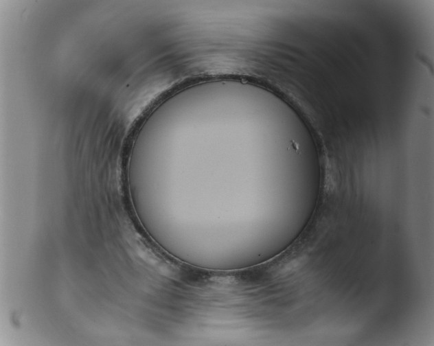 X0000103500391200809262018