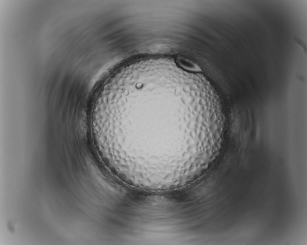 X0000103500392200809262018