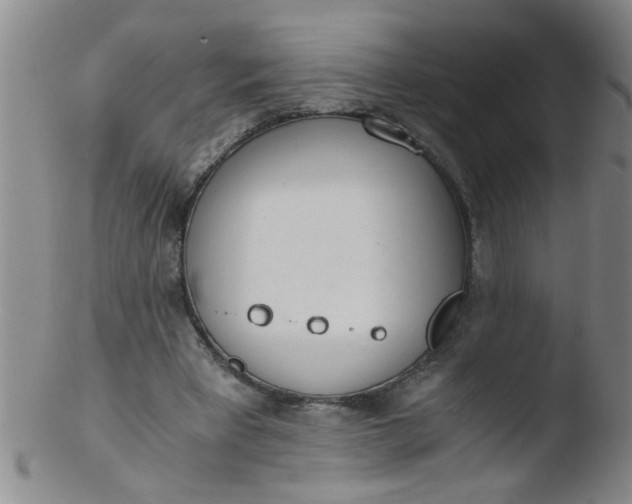 X0000103500393200809262018