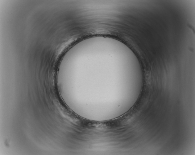 X0000103500395200809262018