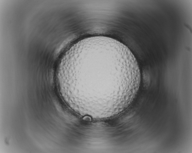 X0000103500396200809262018