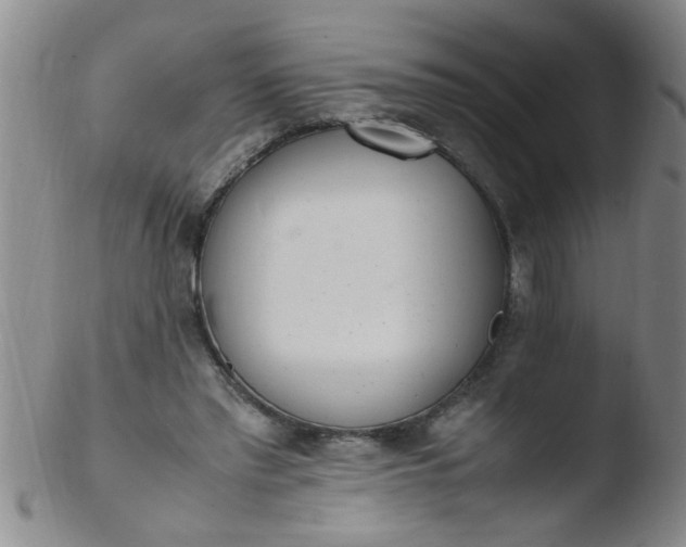 X0000103500397200809262018