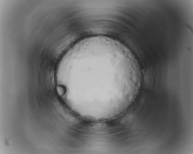 X0000103500398200809262018