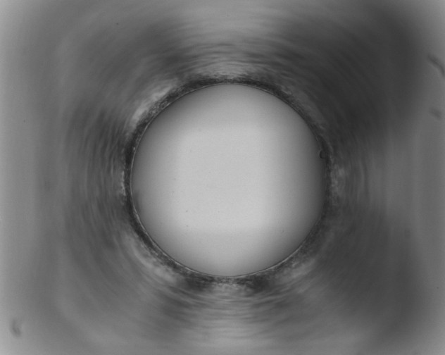 X0000103500399200809262018