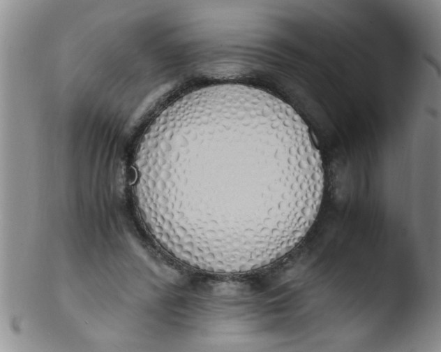 X0000103500400200809262018