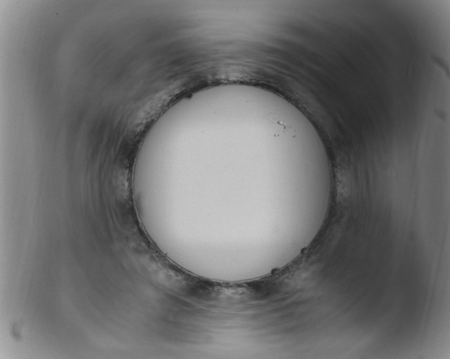 X0000103500401200809262018