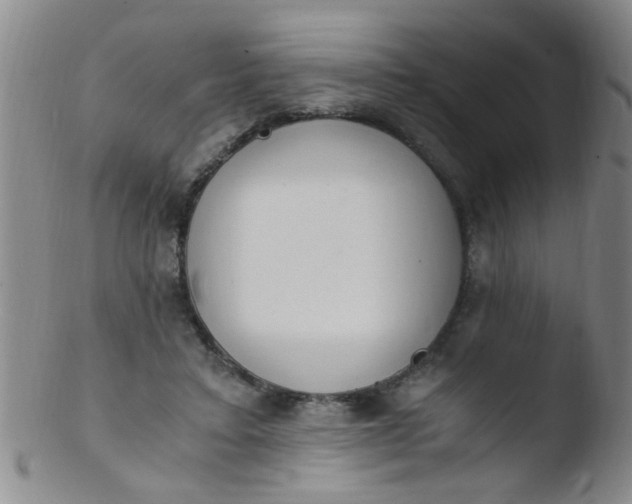 X0000103500403200809262018