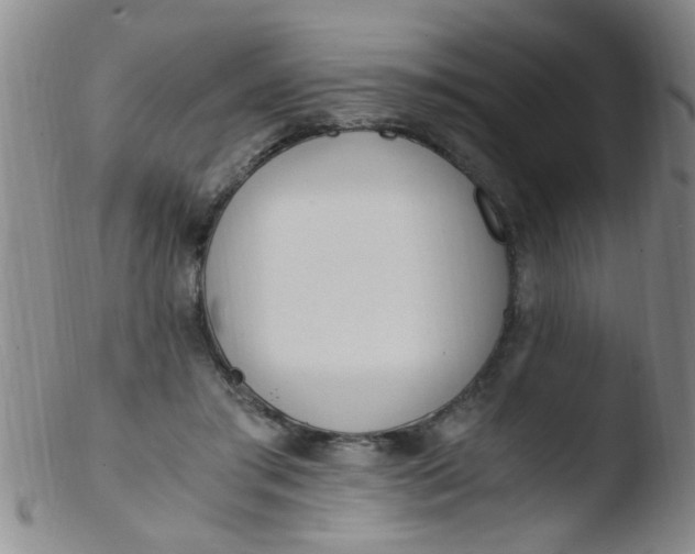 X0000103500405200809262018