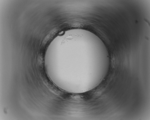 X0000103500407200809262018