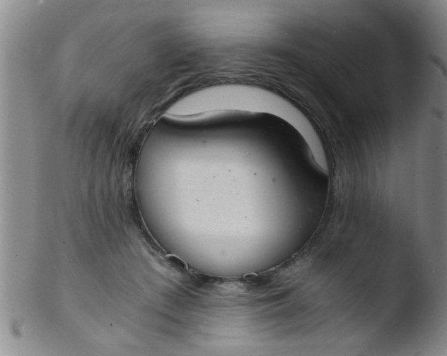 X0000103500409200809262018