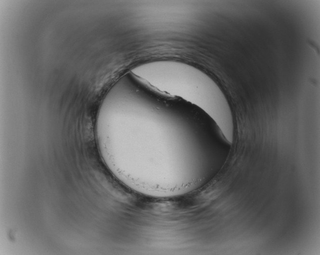 X0000103500411200809262018