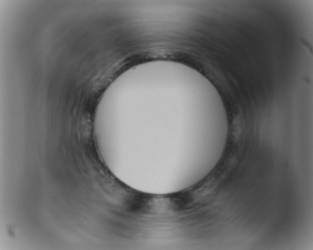 X0000103500413200809262018