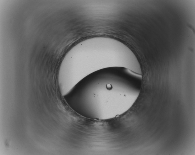 X0000103500415200809262018