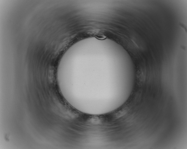 X0000103500416200809262018