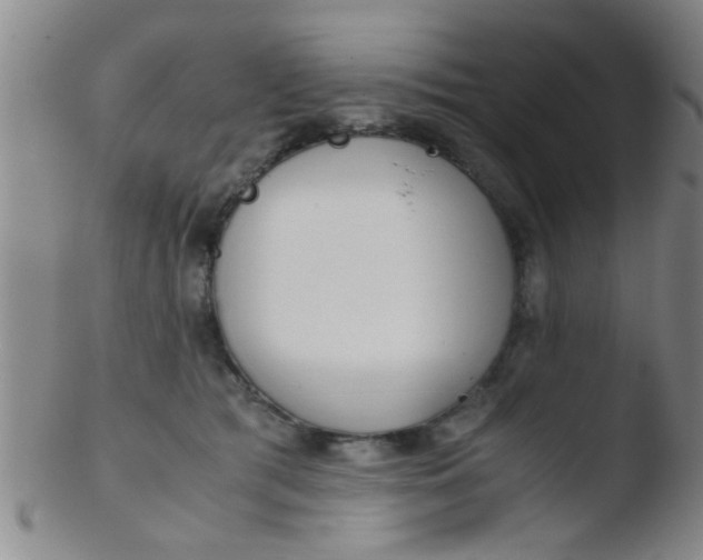 X0000103500417200809262018