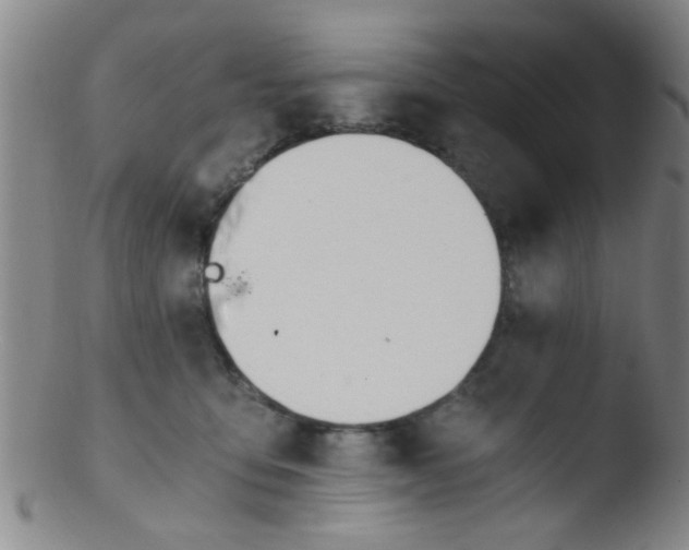 X0000103500419200809262018