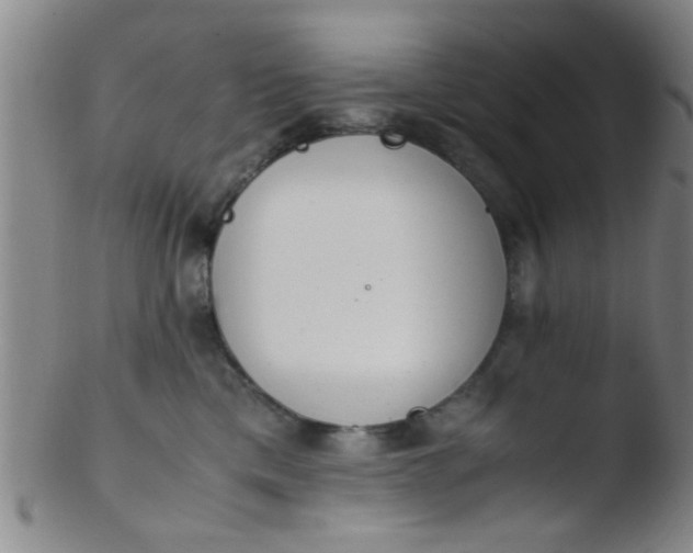 X0000103500425200809262018