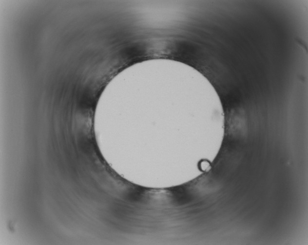 X0000103500427200809262018