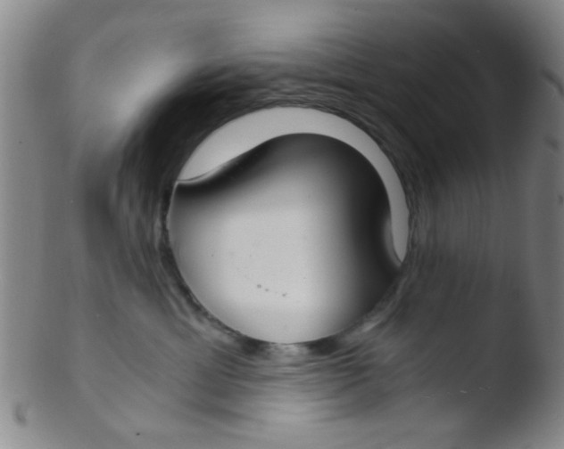 X0000103500429200809262018