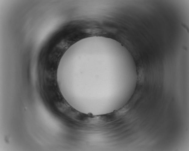 X0000103500430200809262018