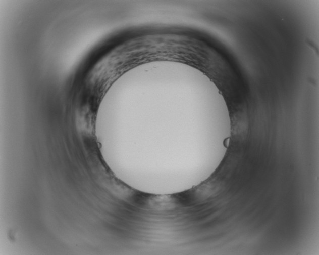 X0000103500431200809262018