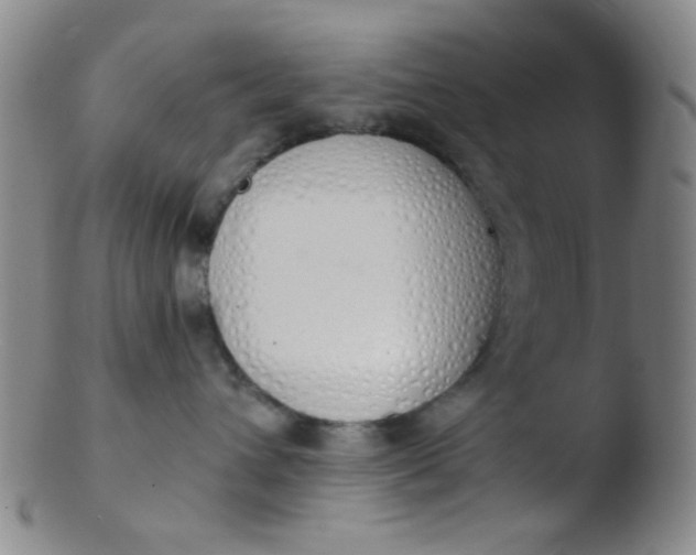 X0000103500432200809262018