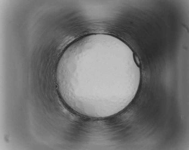 X0000103500433200809262017