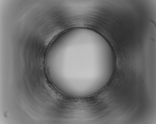 X0000103500434200809262017