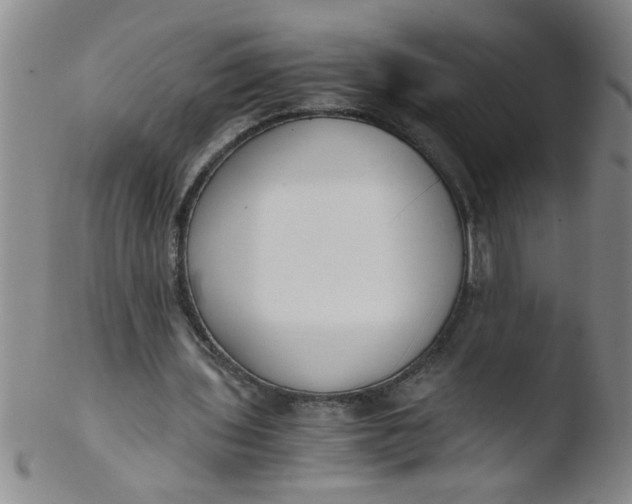 X0000103500435200809262017