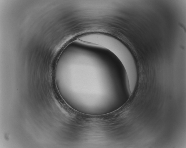 X0000103500436200809262017