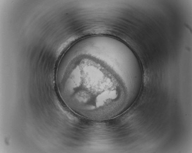 X0000103500438200809262017