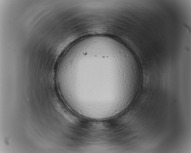 X0000103500439200809262017