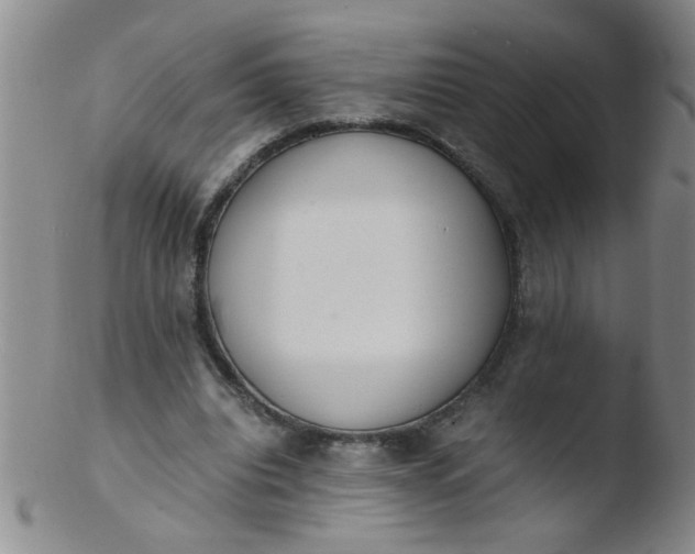 X0000103500440200809262017