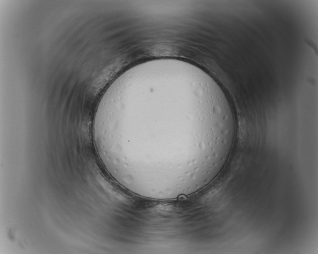 X0000103500441200809262017