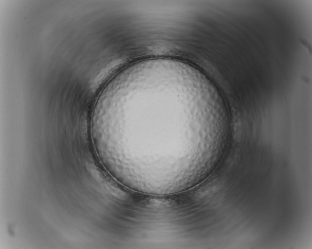 X0000103500442200809262017