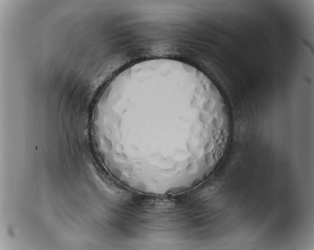 X0000103500443200809262017