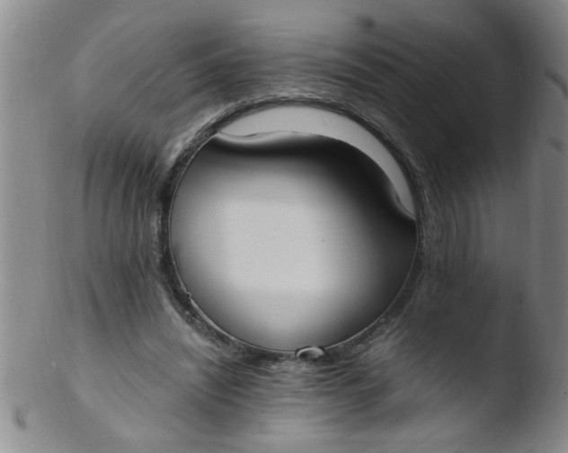 X0000103500444200809262017