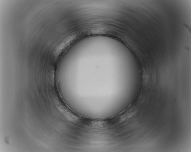 X0000103500446200809262017