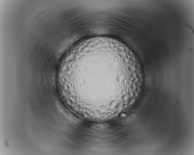 X0000103500447200809262017