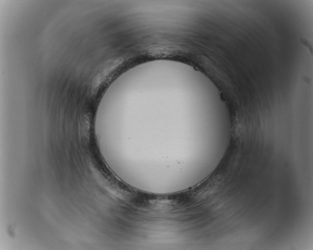 X0000103500448200809262017